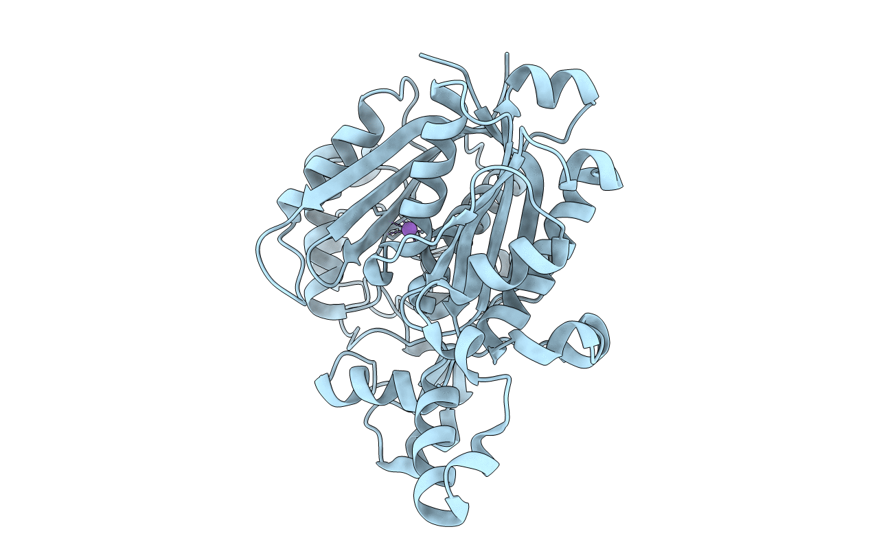 3LRF image