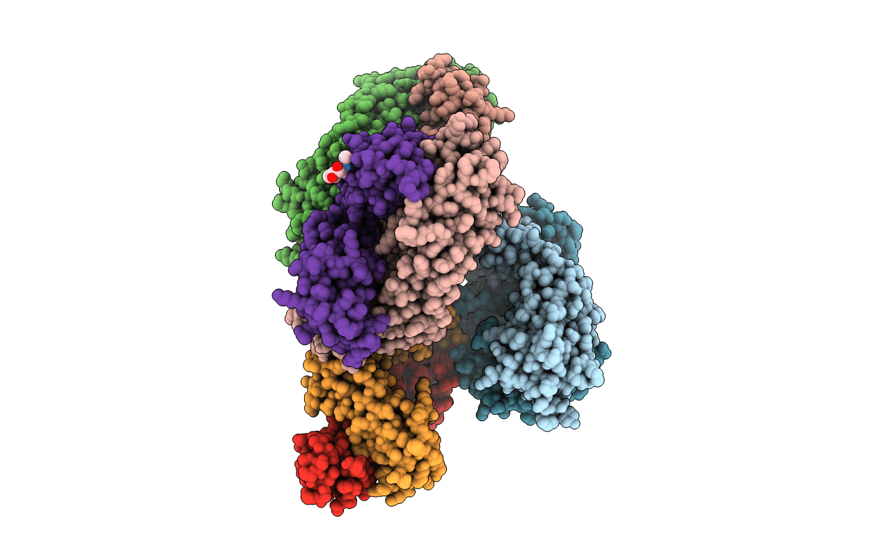 3LRS image