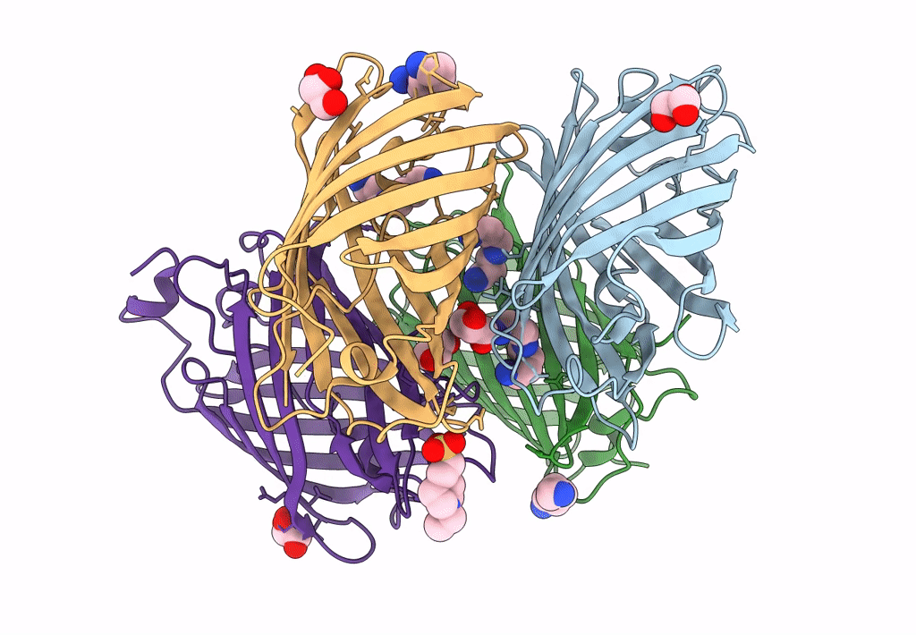 3LS3 image