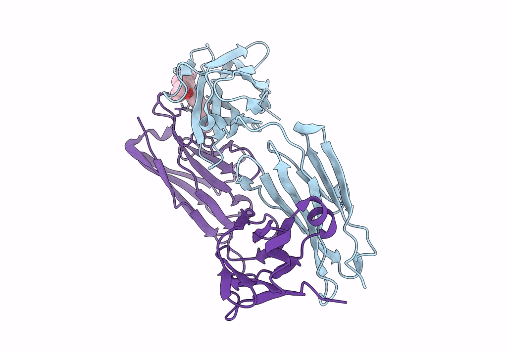 3LS4 image
