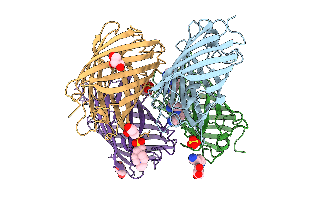 3LSA image