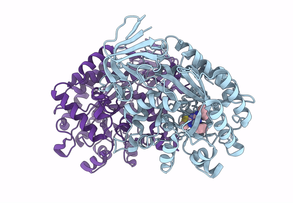 3LSB image