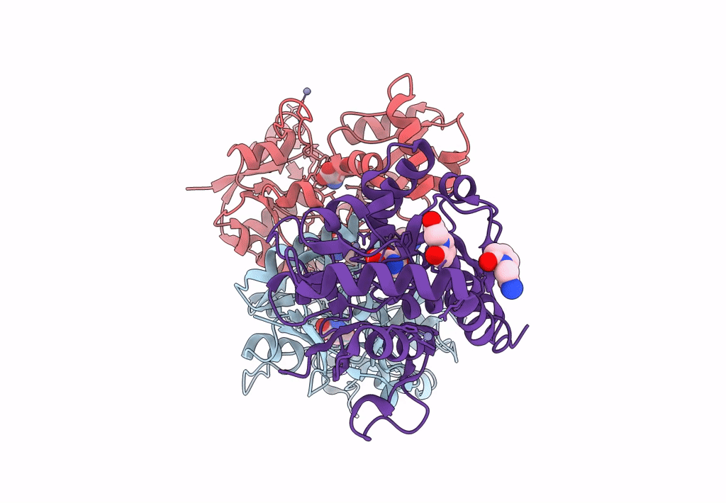 3LSF image