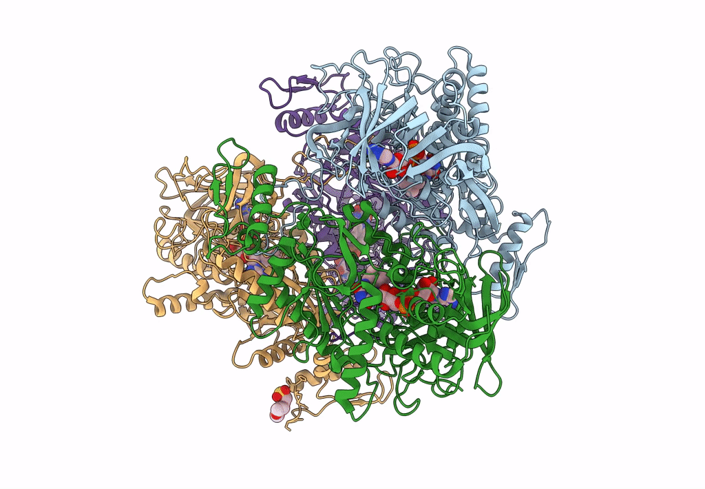 3LSH image
