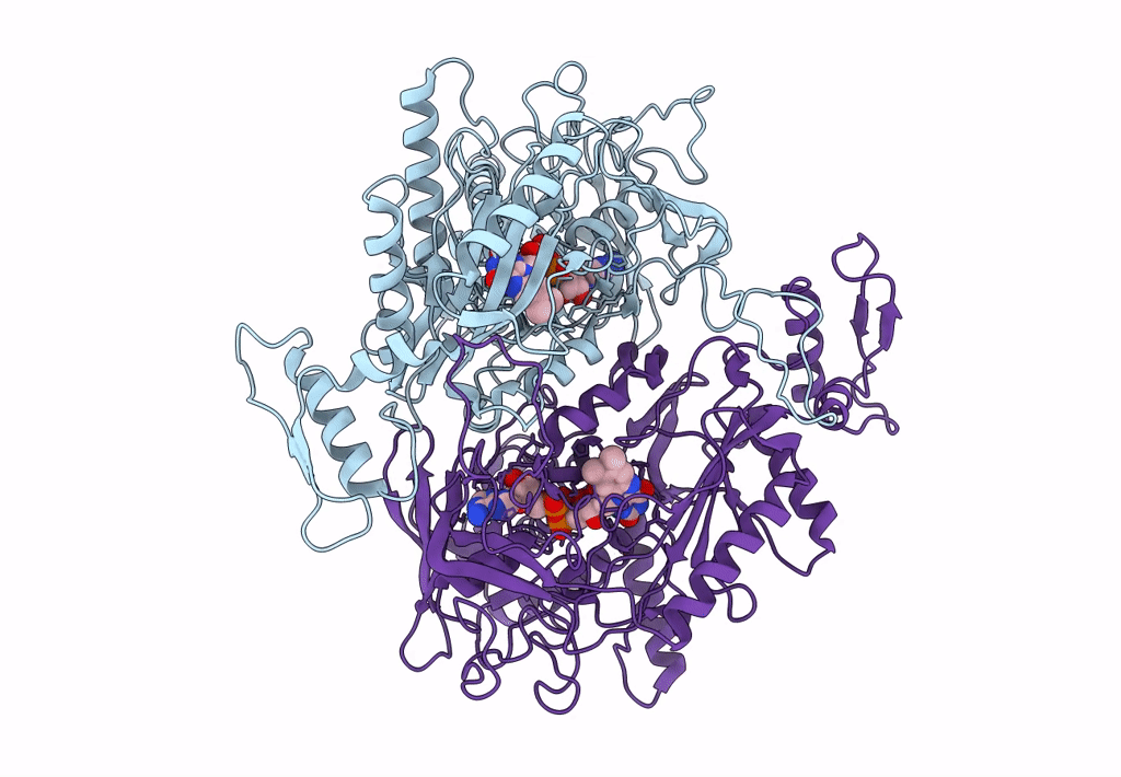 3LSI image