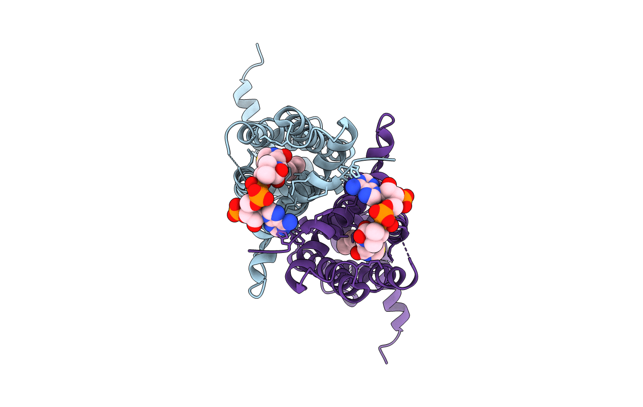 3LSJ image