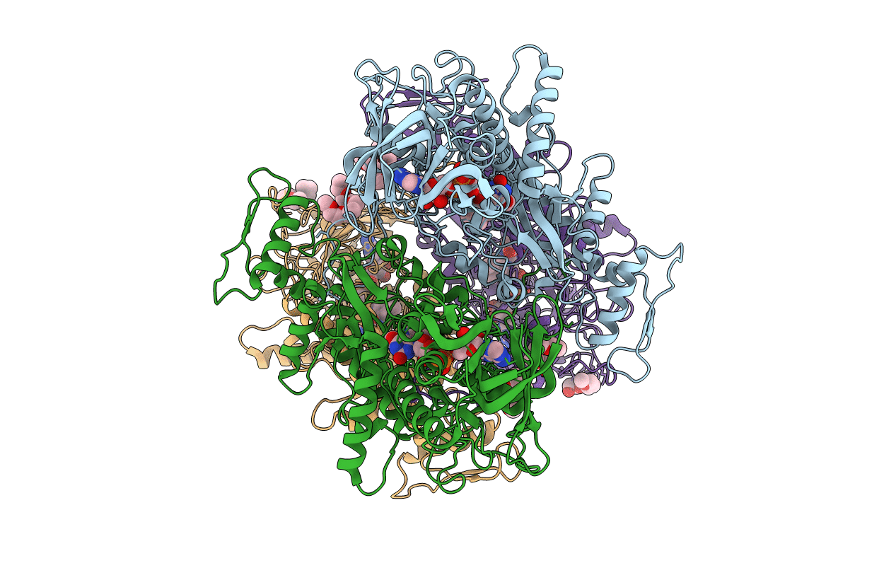 3LSK image