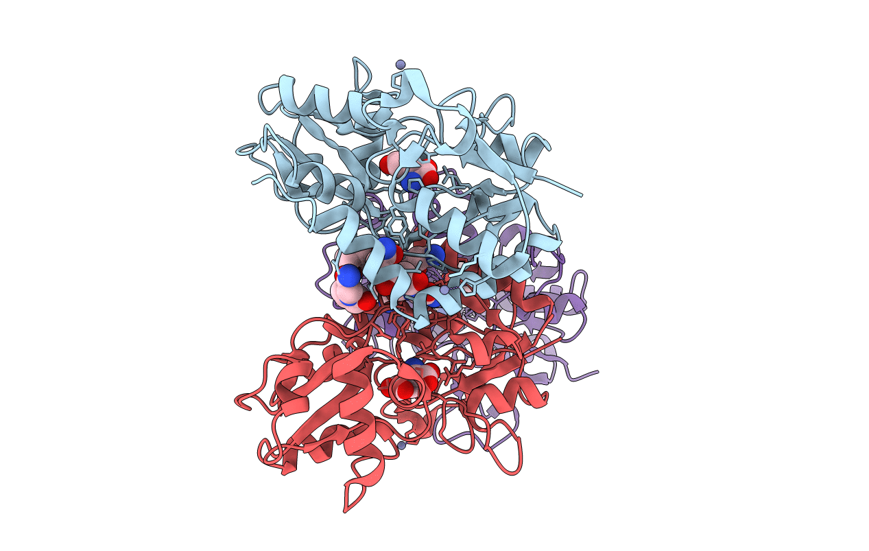 3LSL image