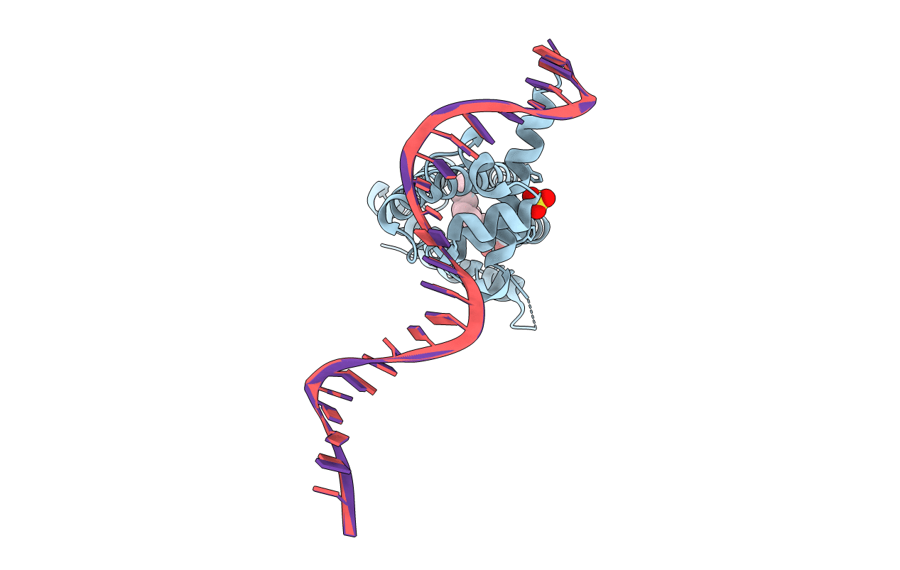 3LSP image