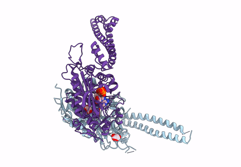 3LSS image