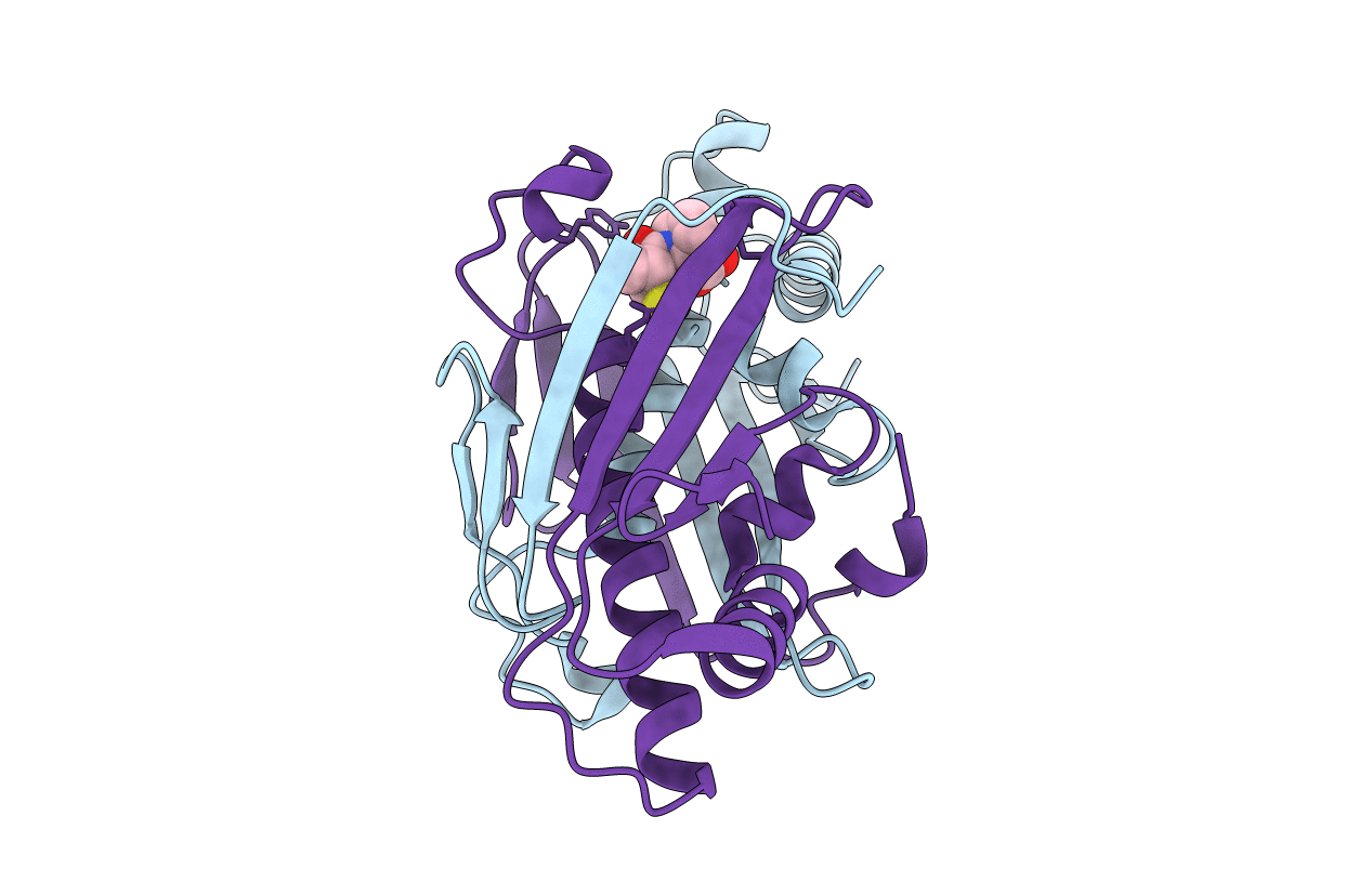 3LUS image