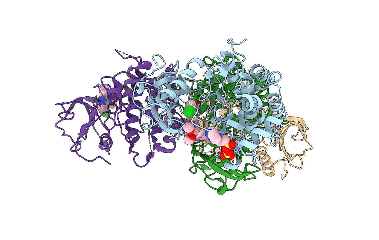 3LVP image