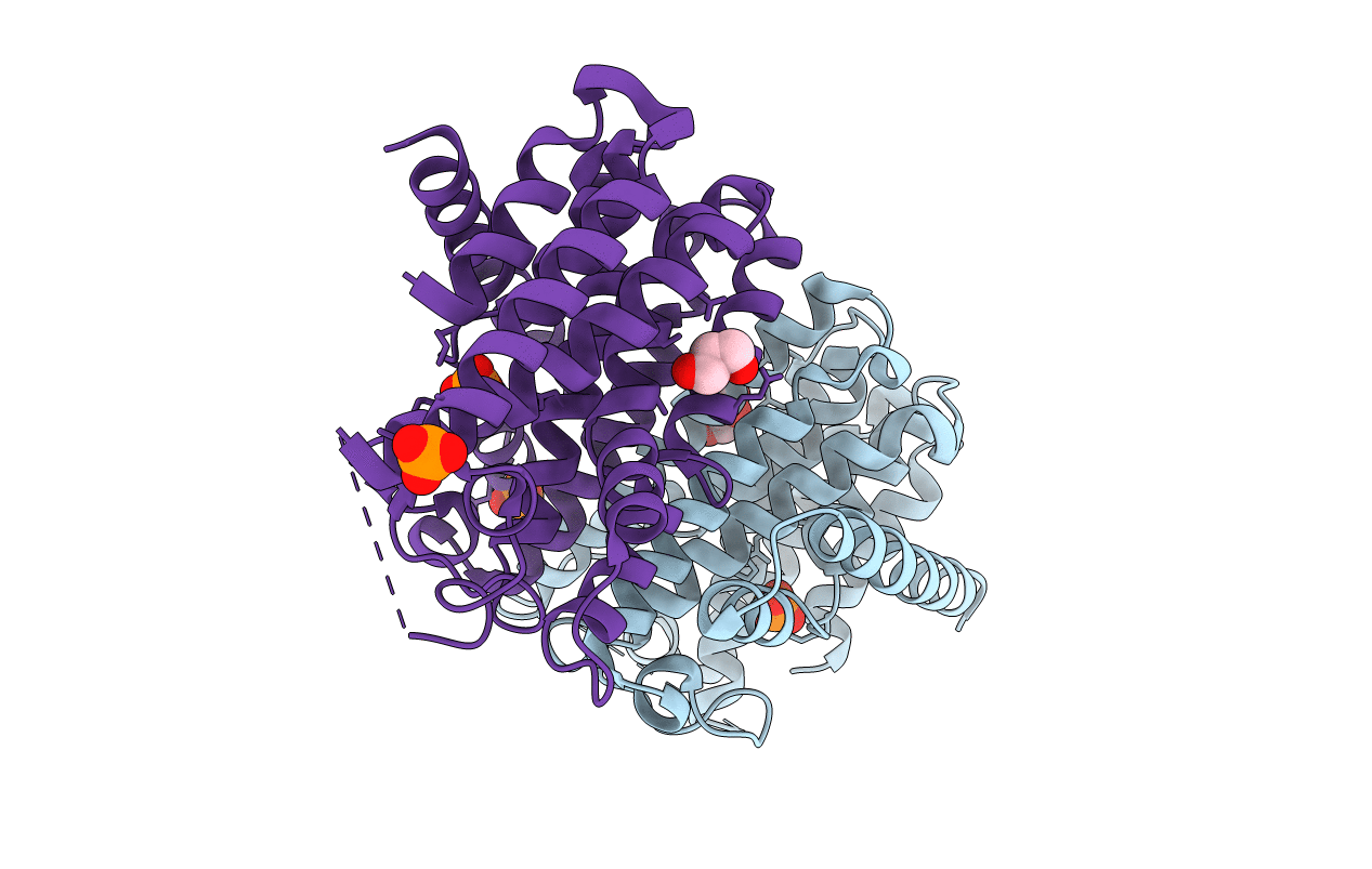 3LVS image