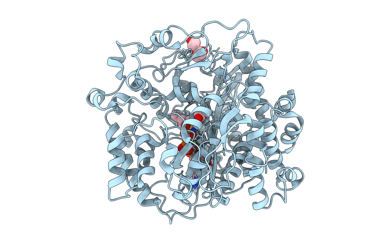3LVV image