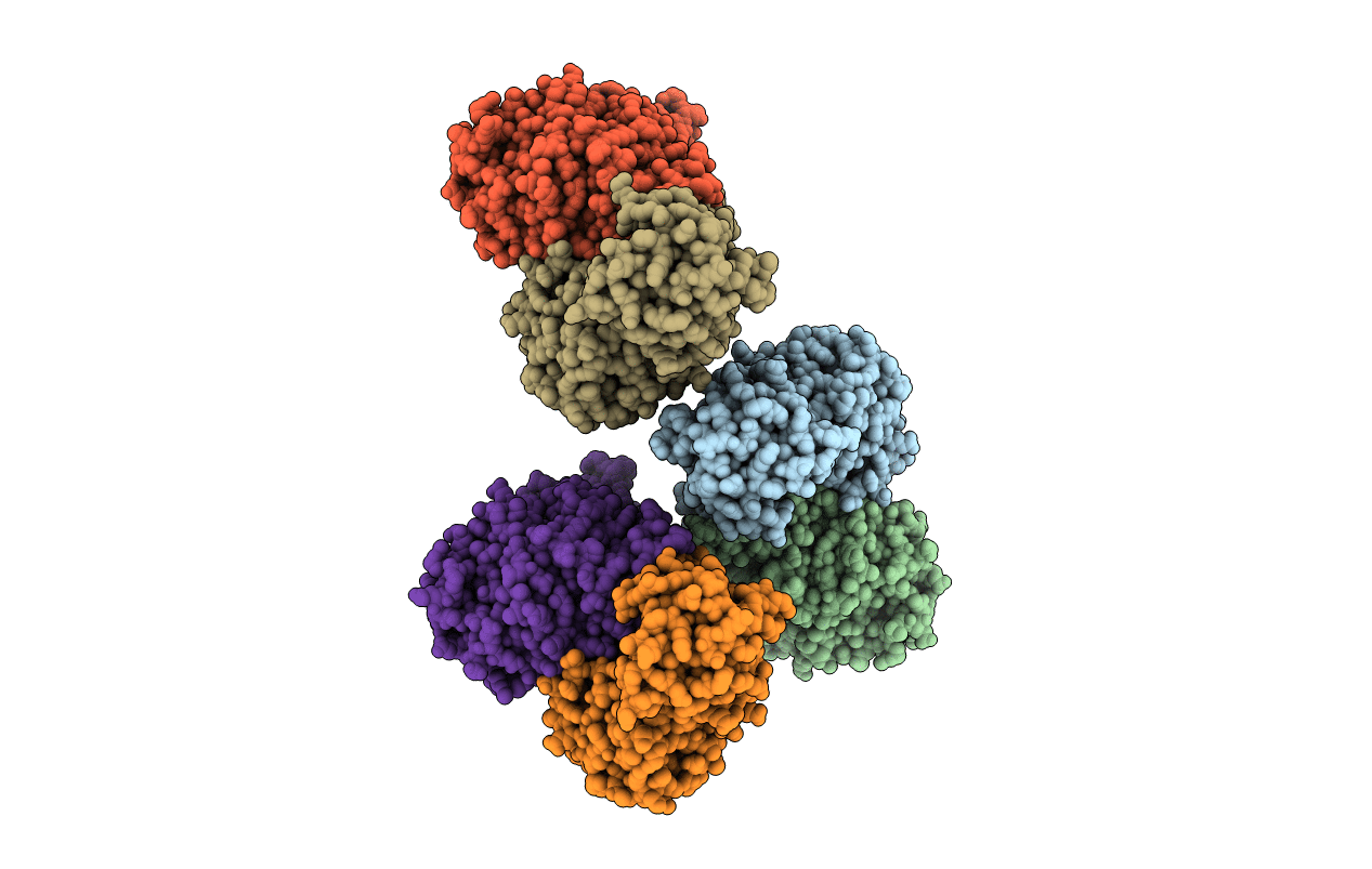 3LWS image