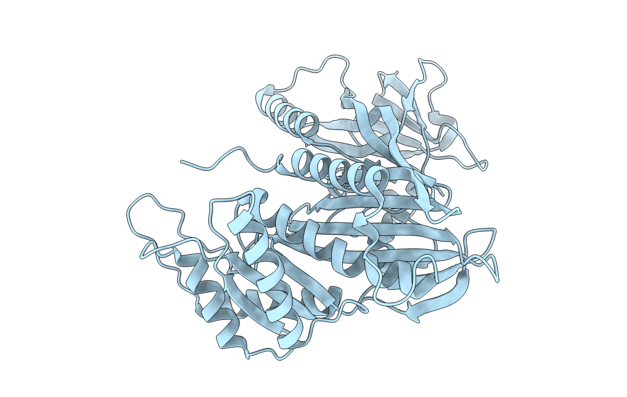 3LWT image