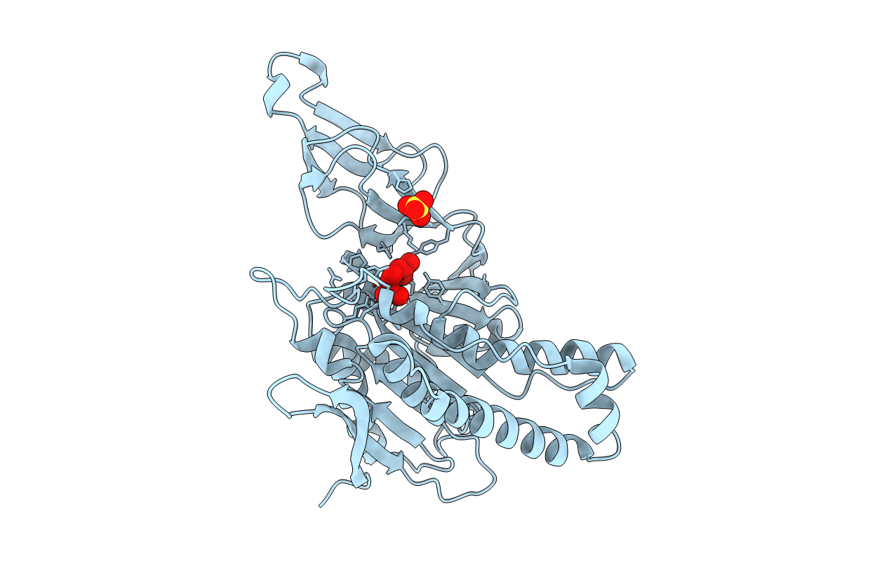 3LWU image