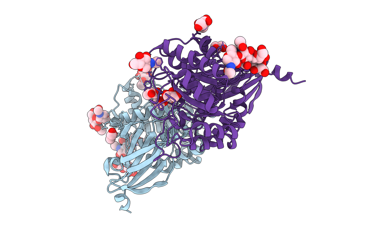 3LXB image