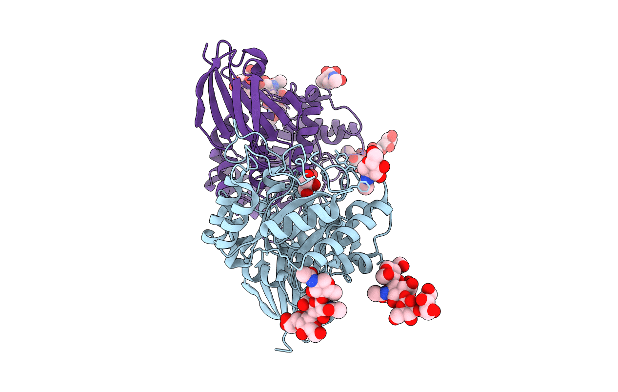 3LXC image