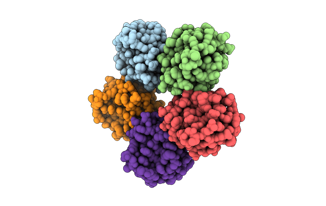 3LXF image