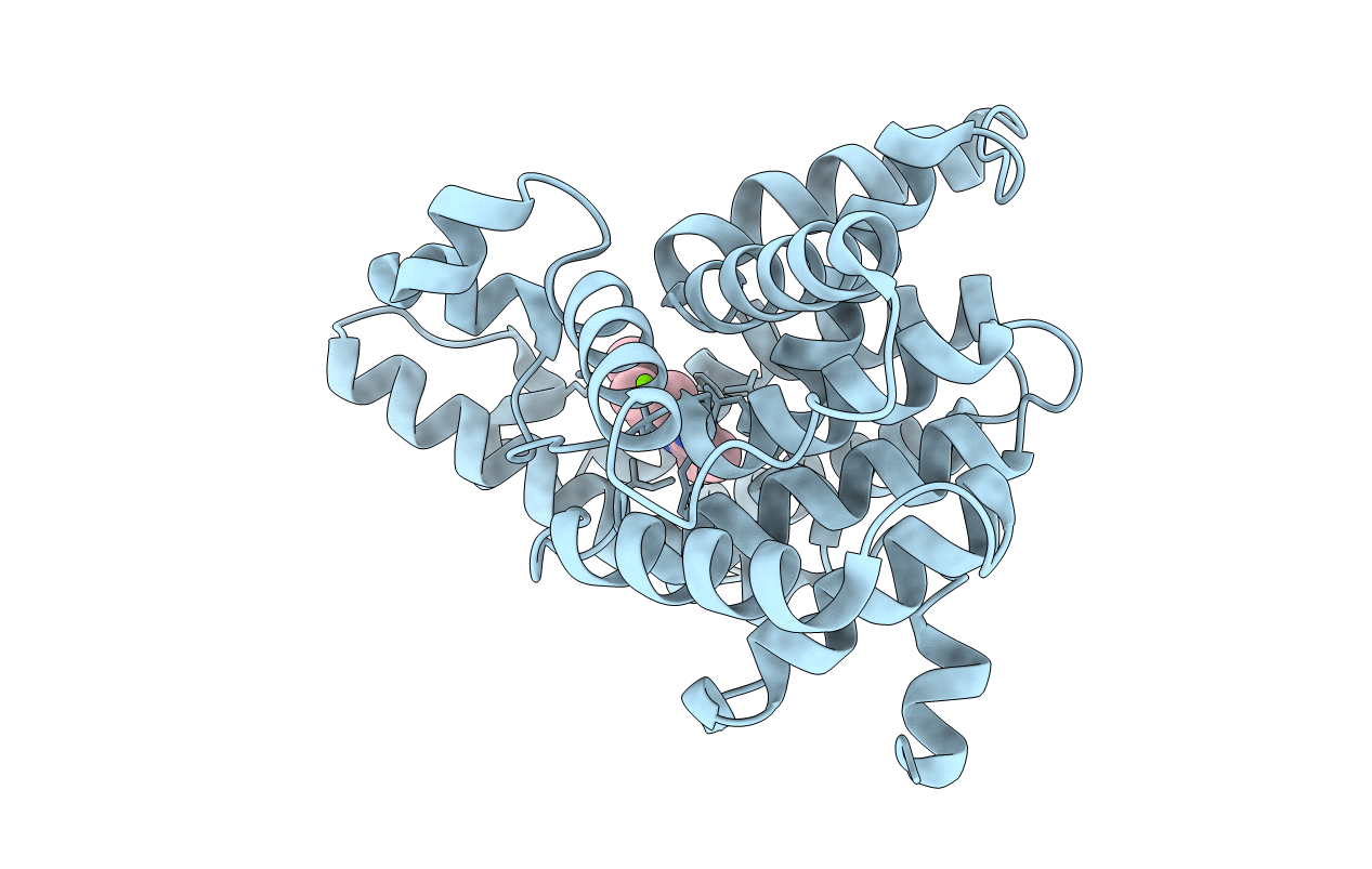 3LXG image