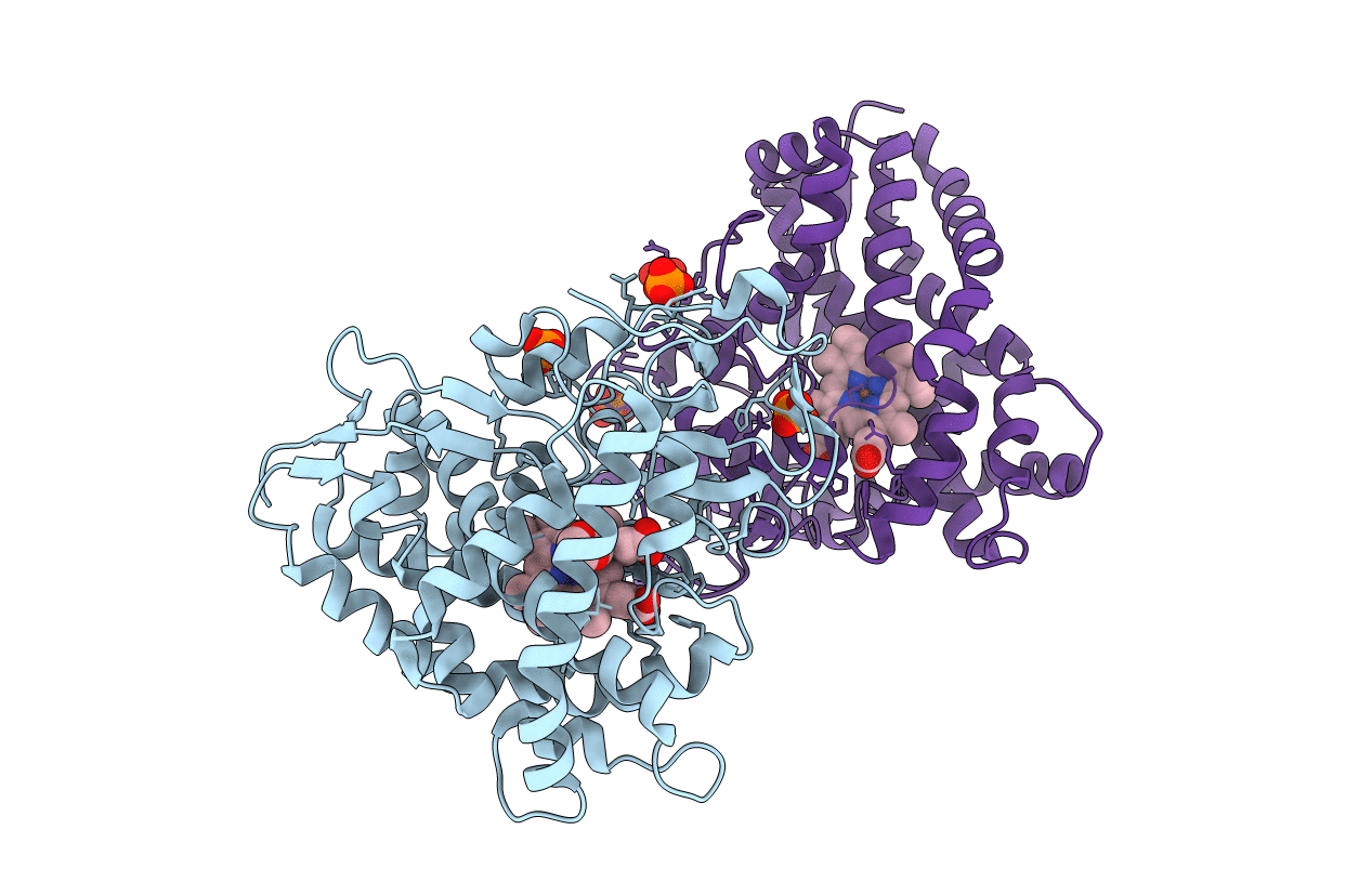 3LXH image