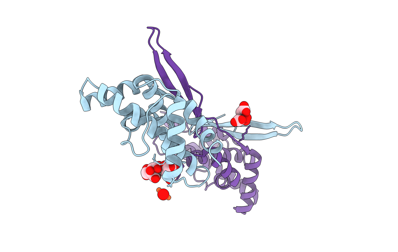 3LYQ image