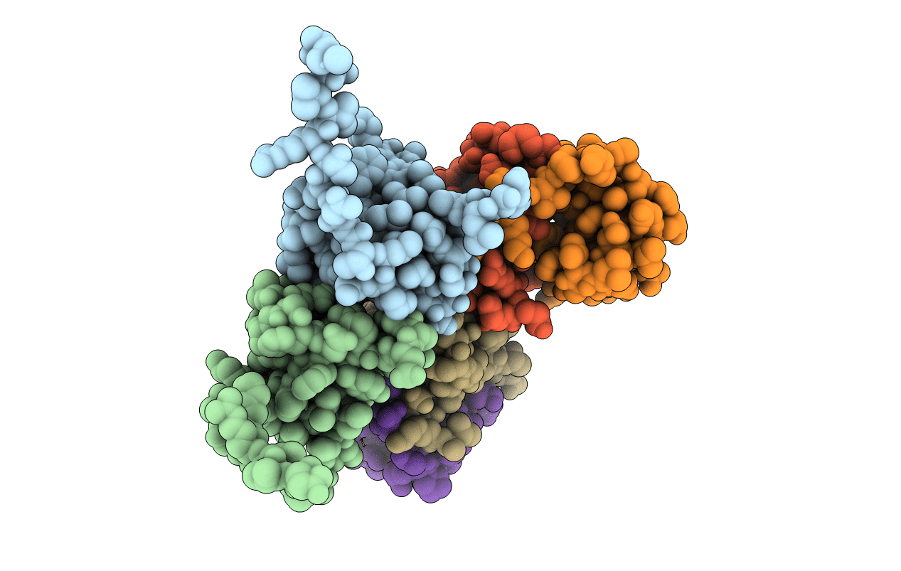 3LYV image