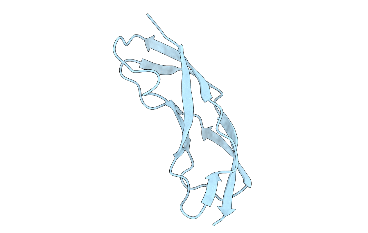 3LYW image