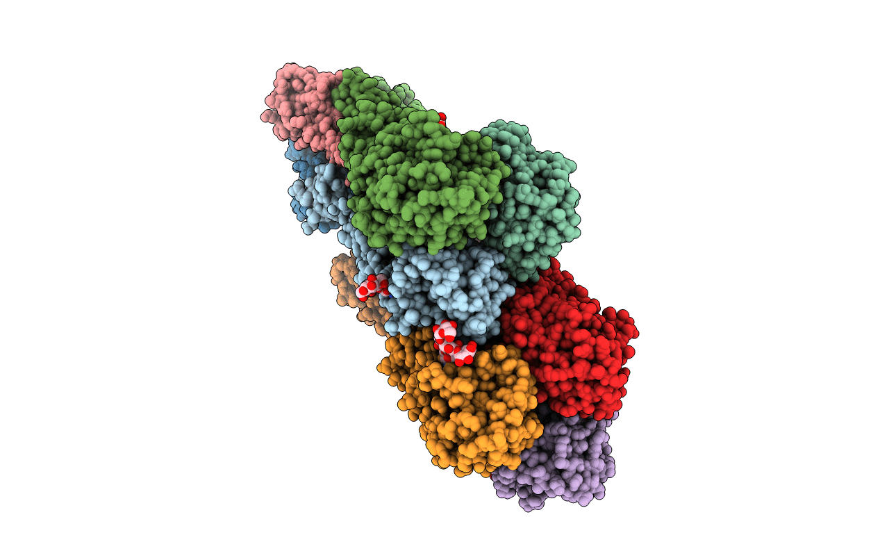 3LZG image