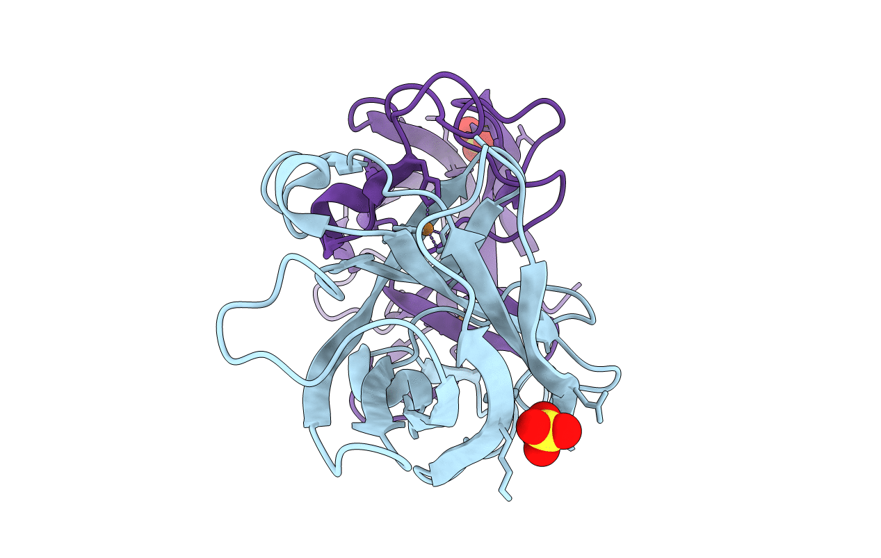 3LZO image