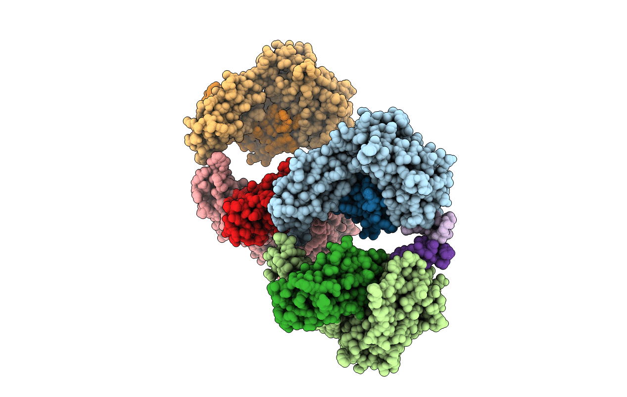 3M1B image