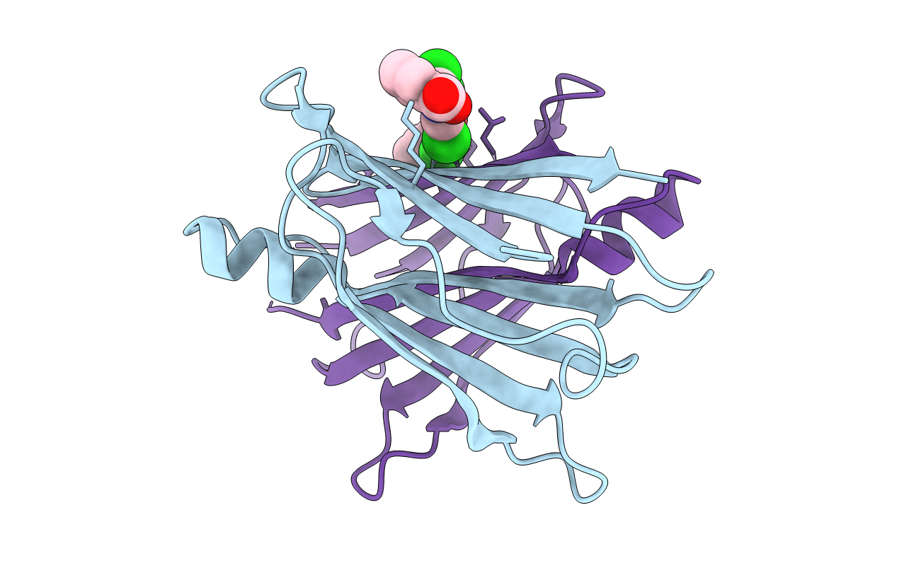 3M1O image