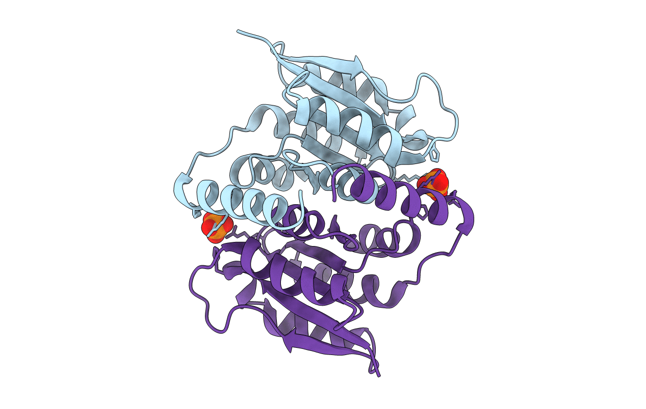 3M1P image