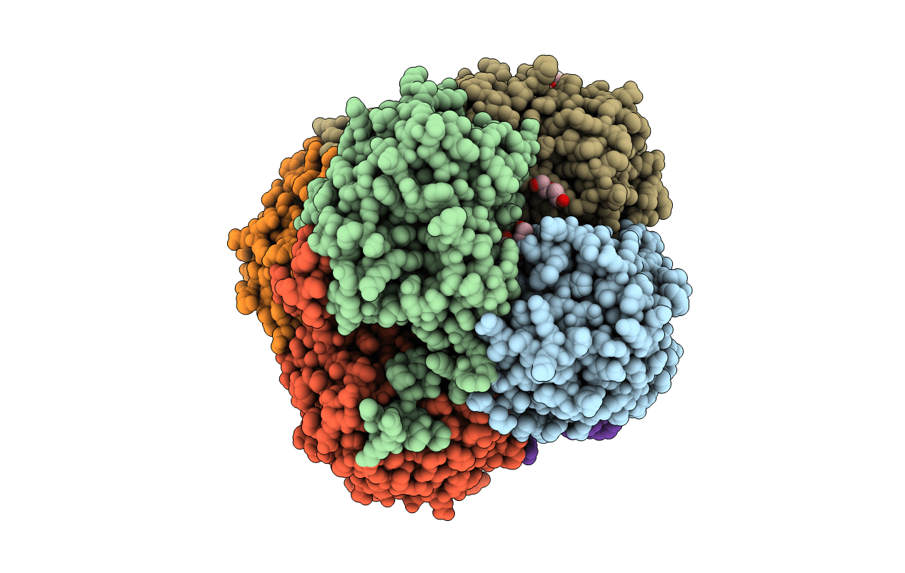 3M1R image