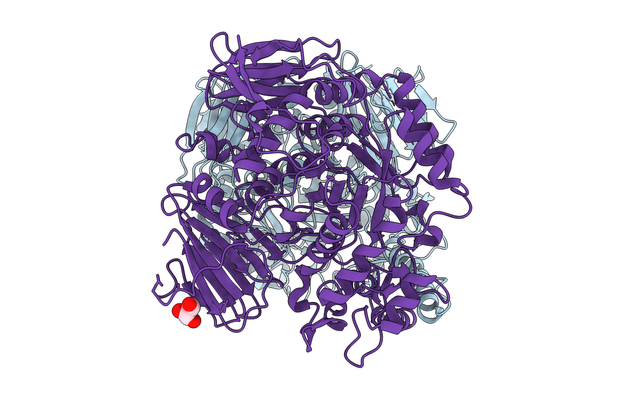 3M46 image