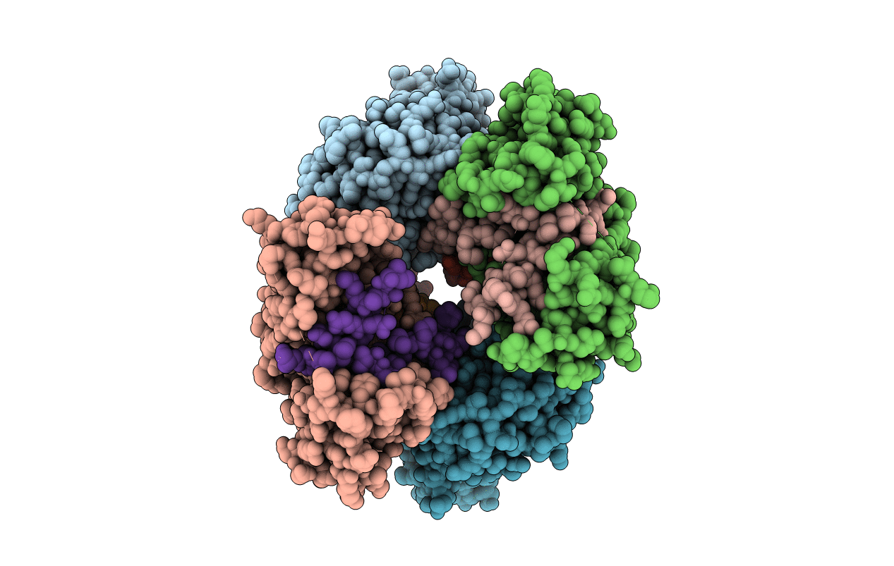 3M4W image
