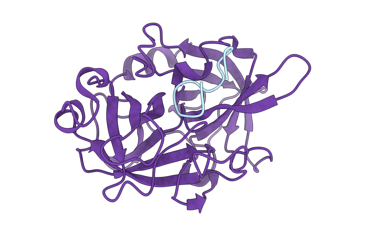 3M61 image