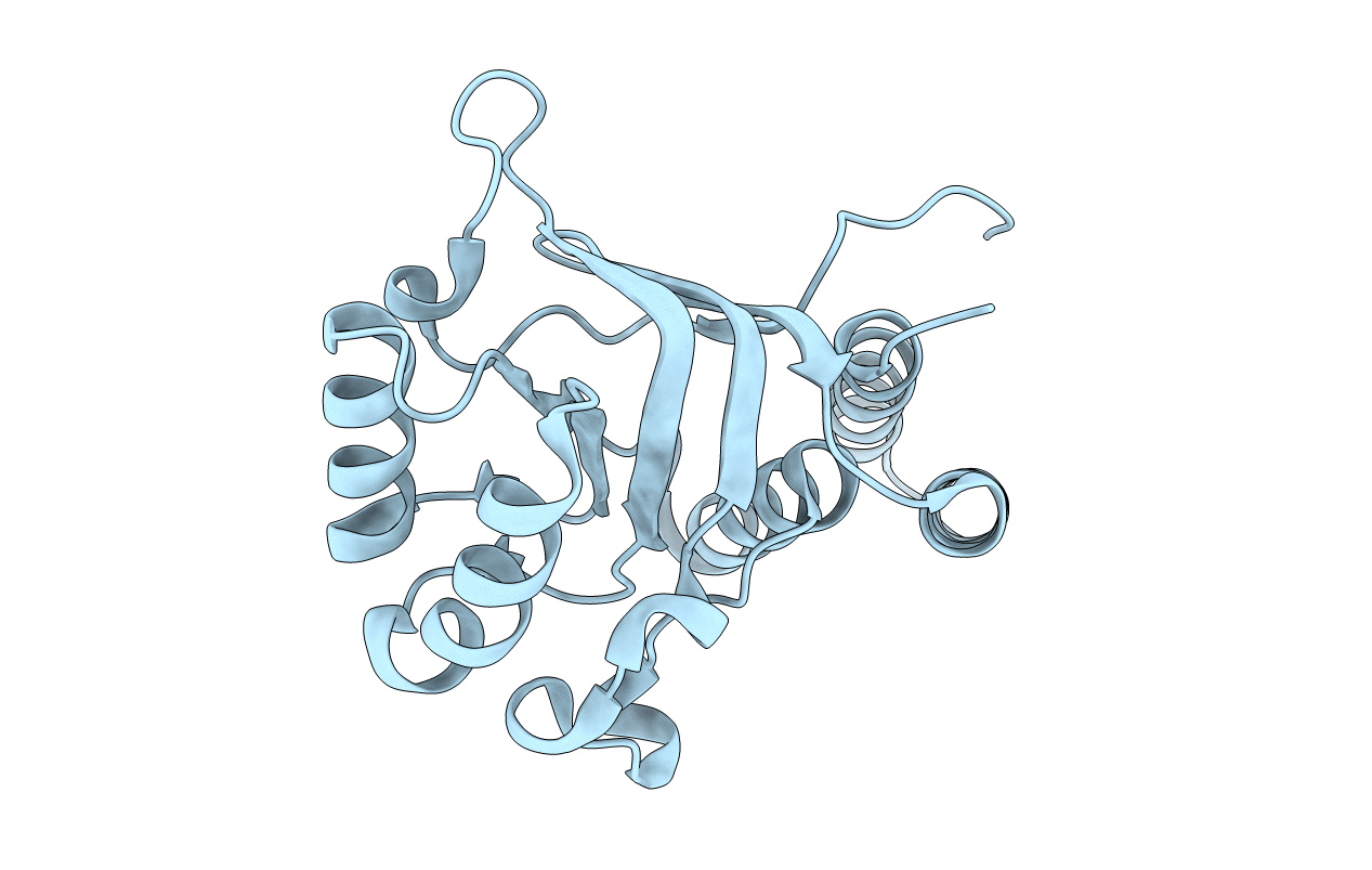 3M6C image