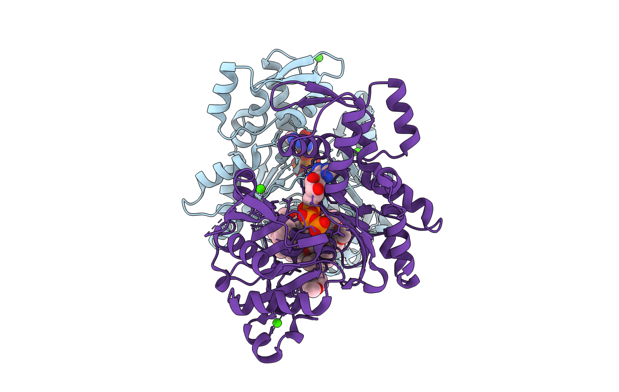 3M6G image