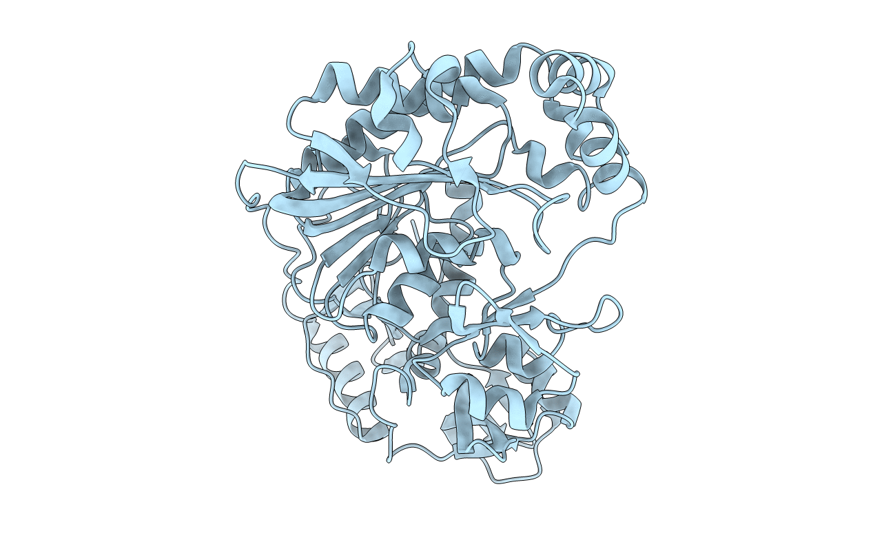 3M6X image
