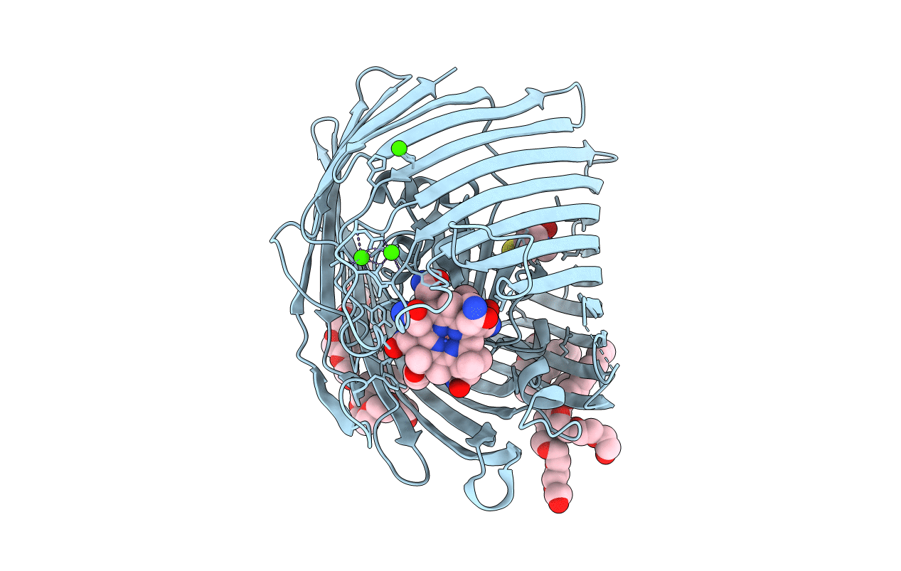 3M8D image