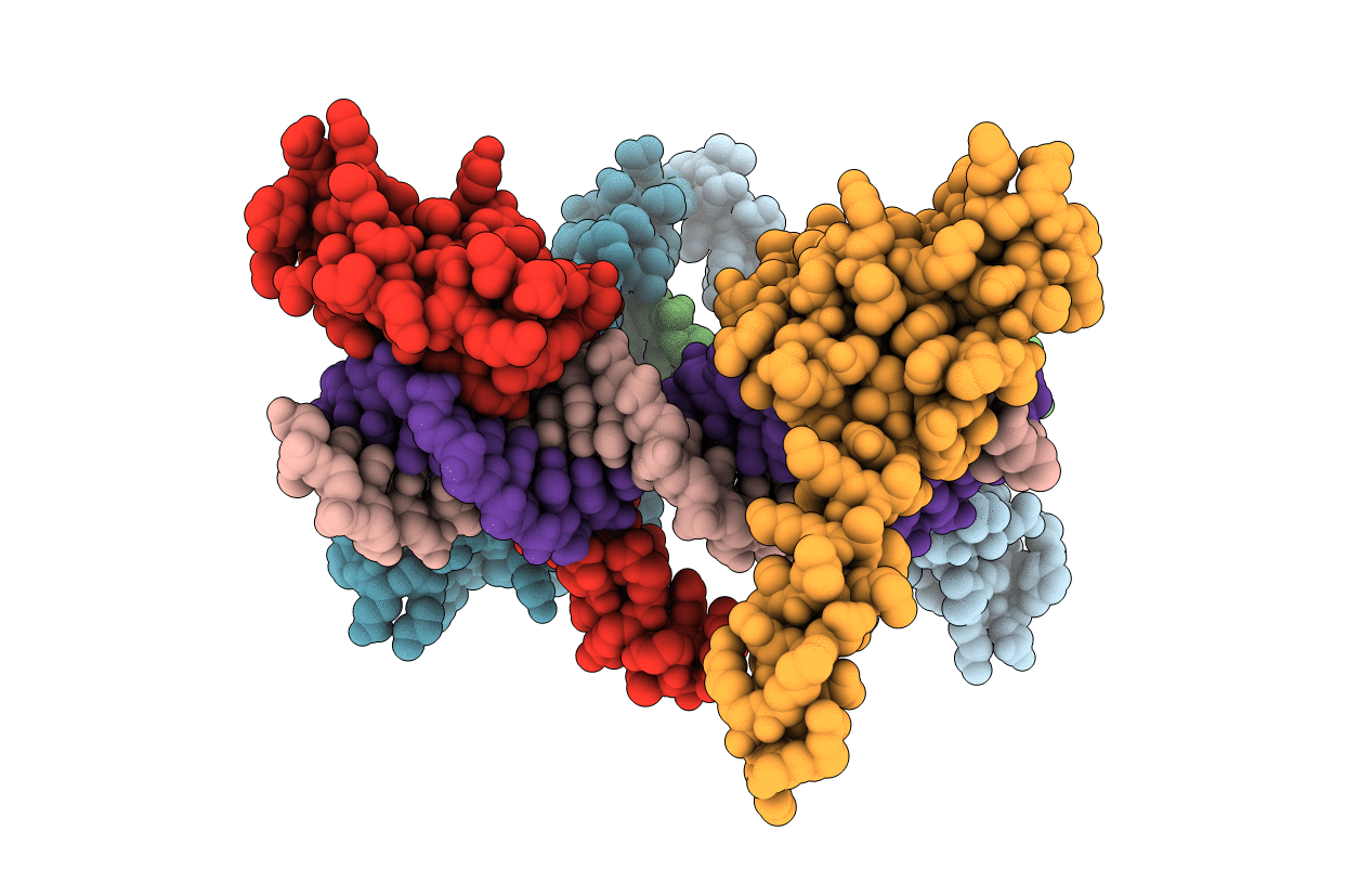 3M9E image