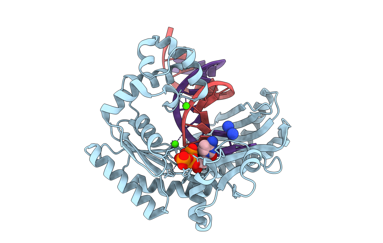 3M9N image