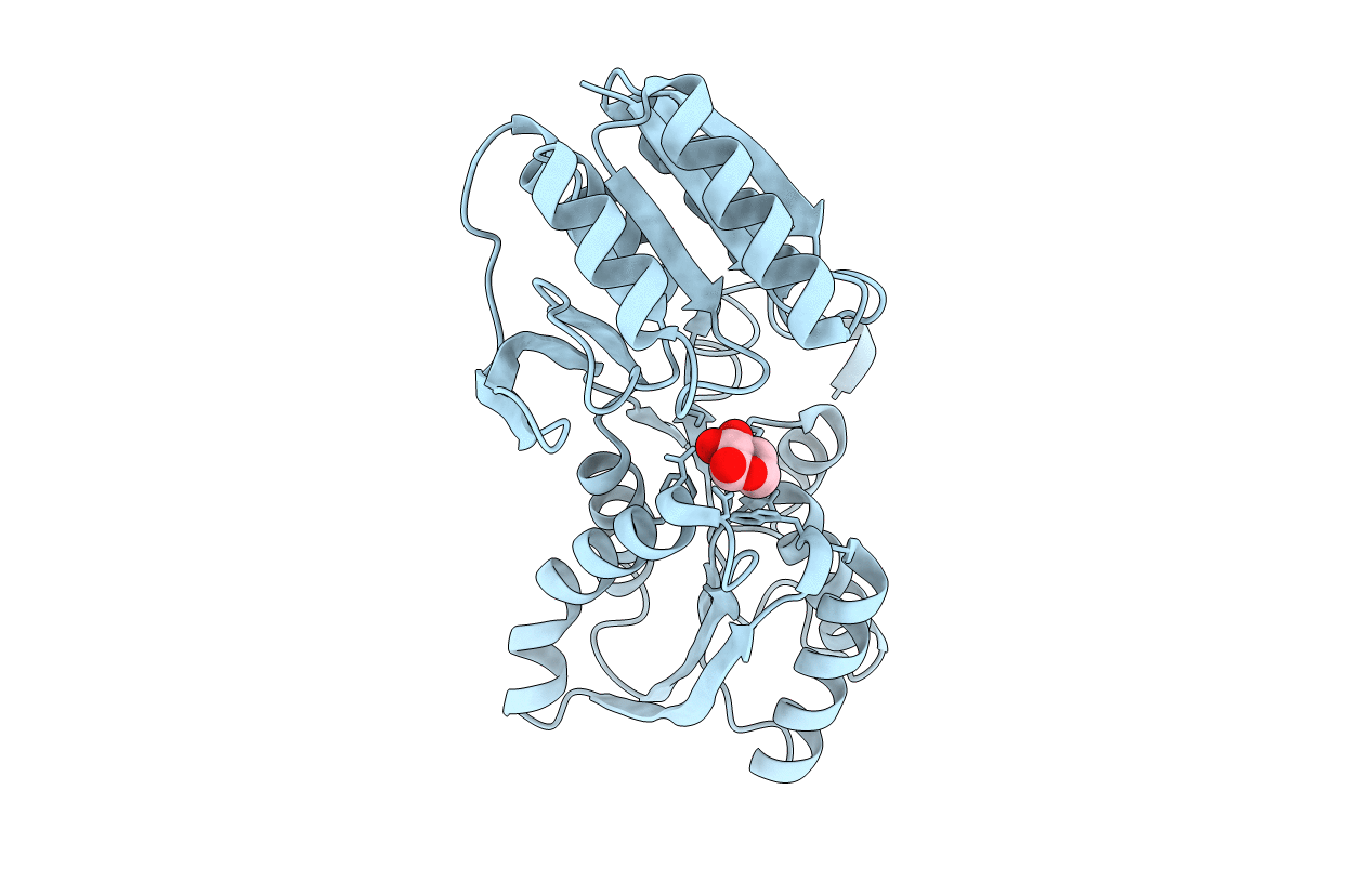 3M9X image