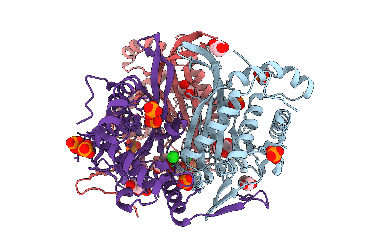 3MAE image