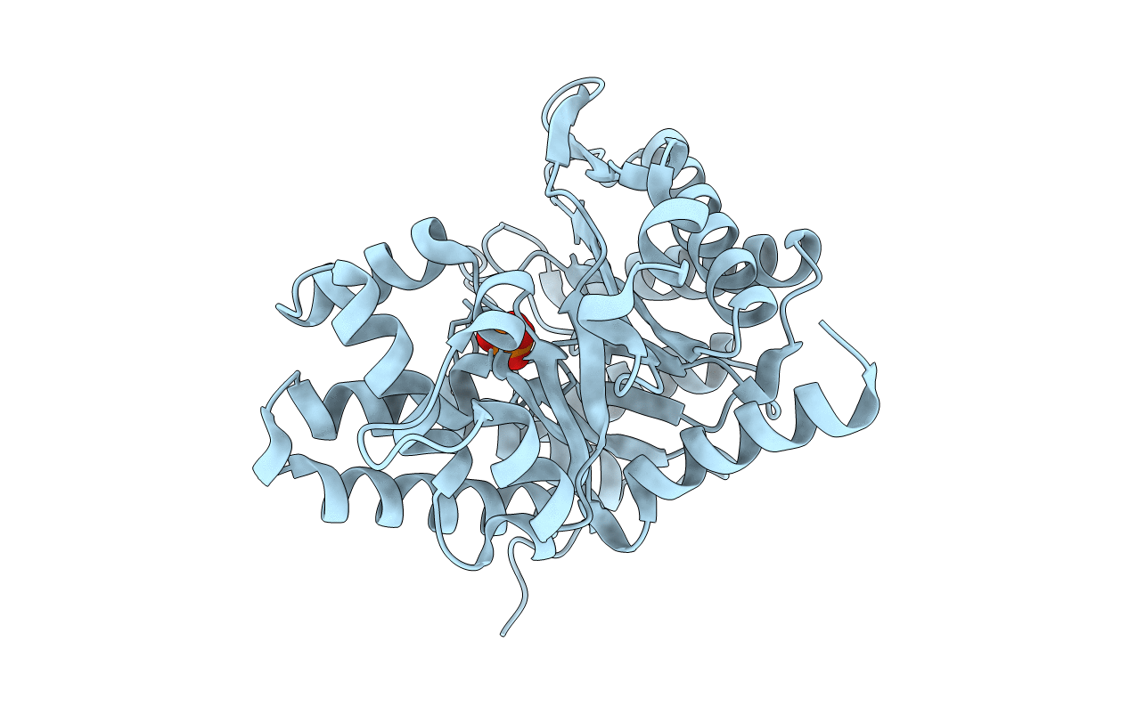 3MBD image