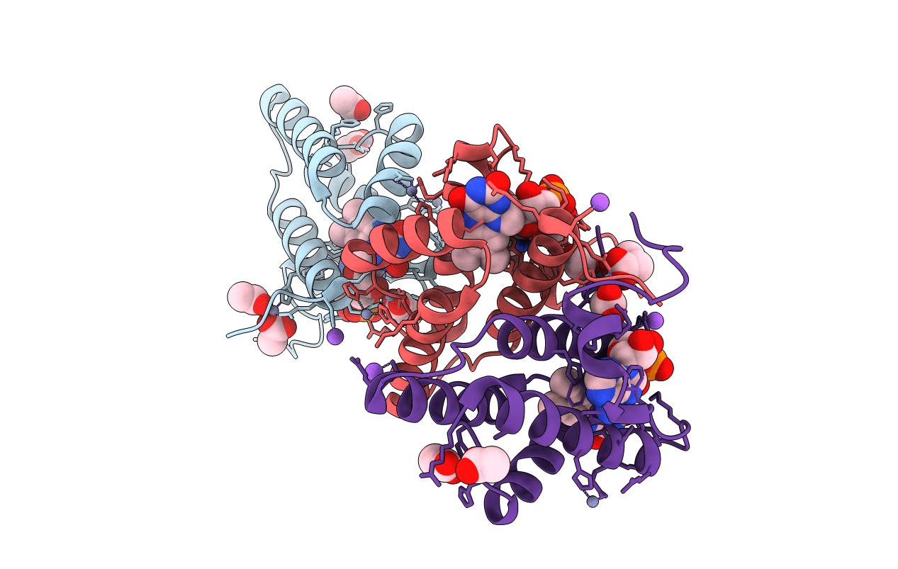 3MBG image