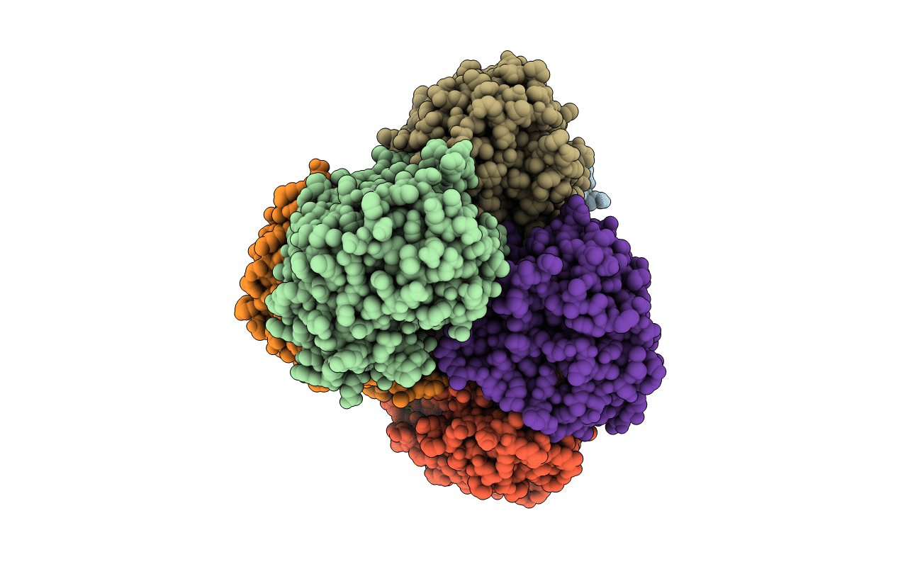3MBH image
