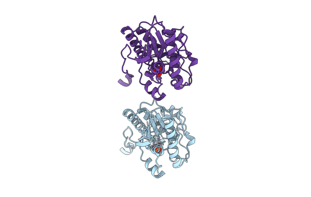 3MBK image